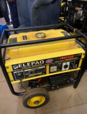 Big Elepaq Generator